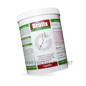 Buying_Brafix_online